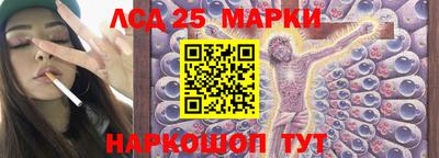 гидропоника Донской