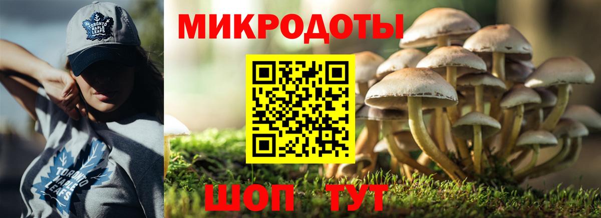 Псилоцибиновые грибы MAGIC MUSHROOMS  Вход с VPN  Муром 