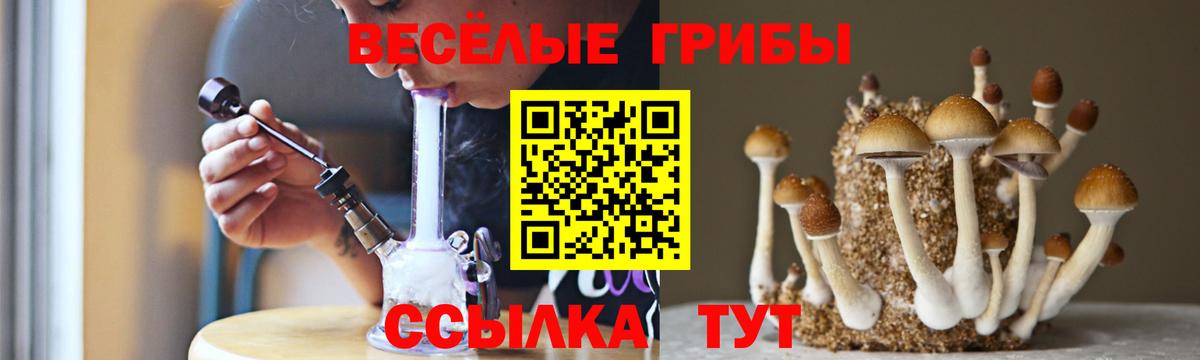 Псилоцибиновые грибы мицелий Муром